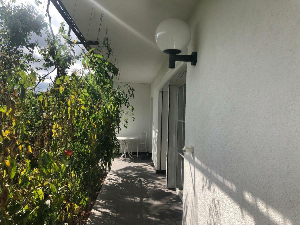Ferienwohnung Idyllisches Wohnen Weinberg Bad Kissingen Exterior foto